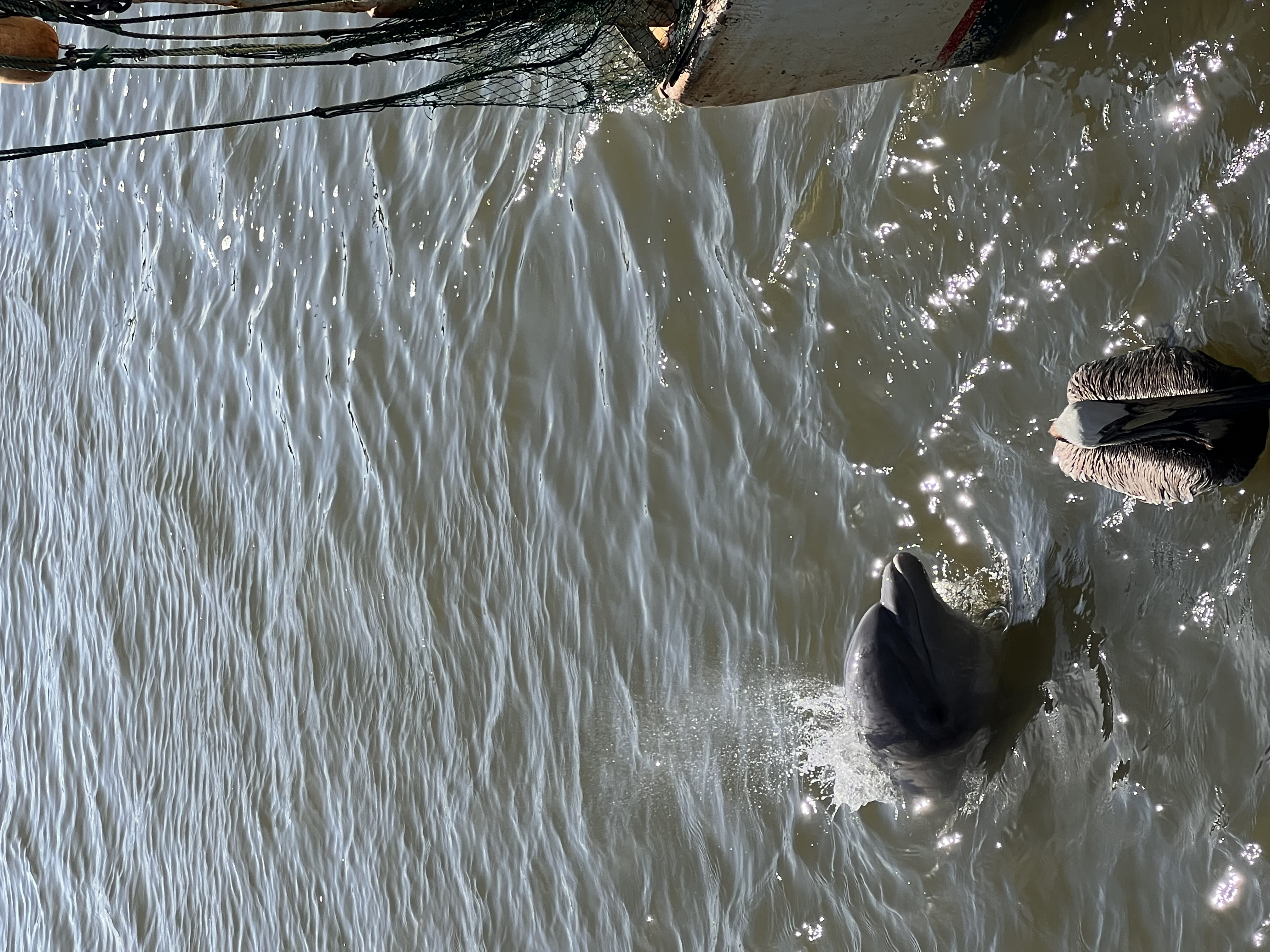 ./2025/06 - Savannah/IMG_1331.jpg